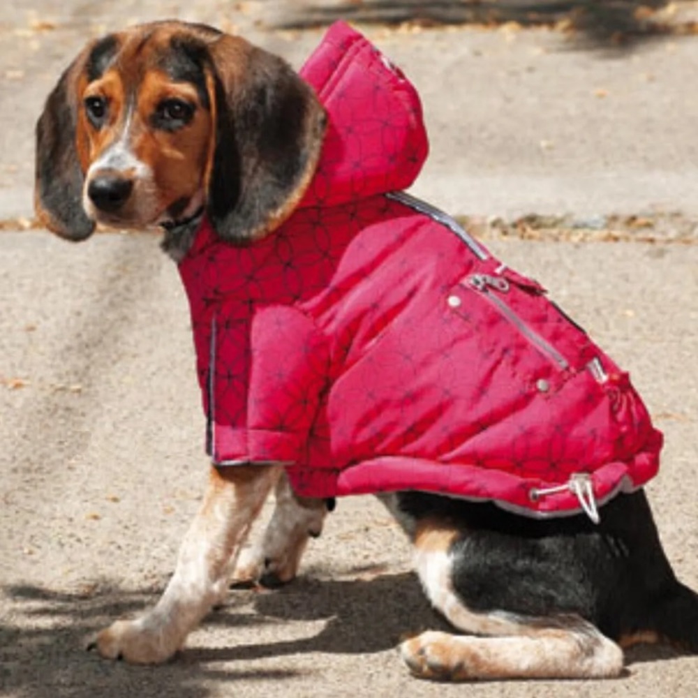 Cozy Red Hooded Dog Jacket